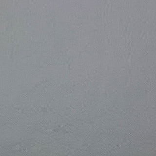 Ekoskóra Vienna 15 Platynowy